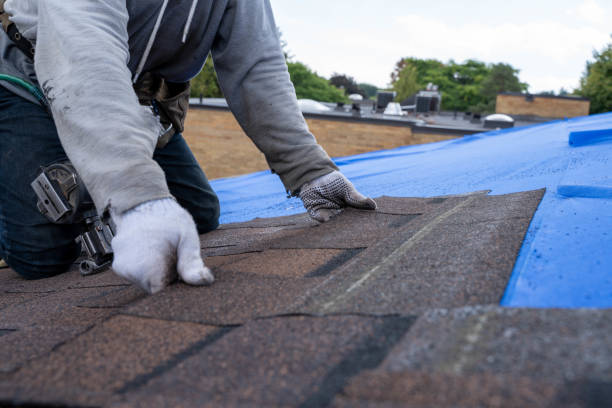 Roof Waterproofing Services in Trezevant, TN