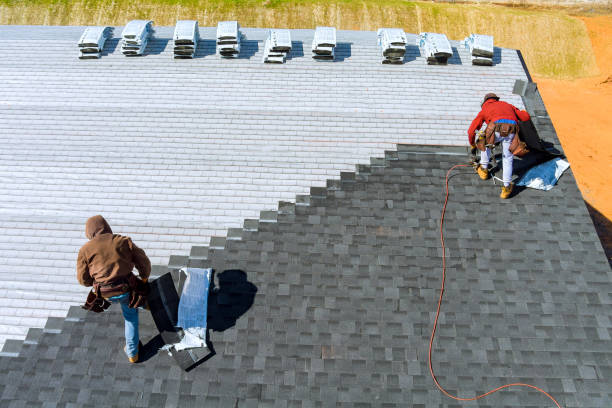 Best Roof Waterproofing Services  in Trezevant, TN