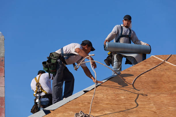 Best New Roof Installation  in Trezevant, TN