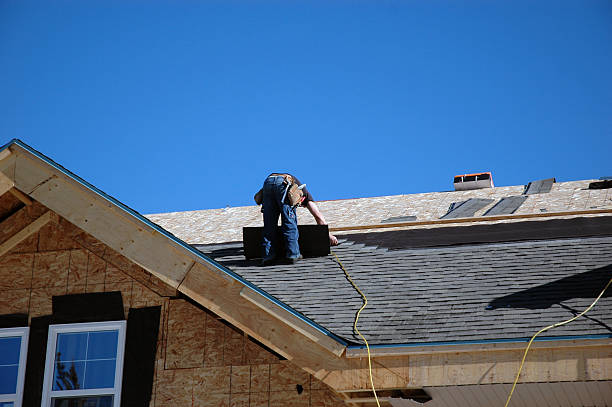 Best Roof Gutter Cleaning  in Trezevant, TN