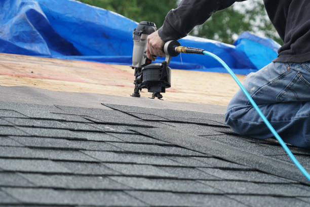 Best Affordable Roofing Company  in Trezevant, TN