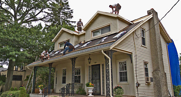 Best New Roof Installation  in Trezevant, TN