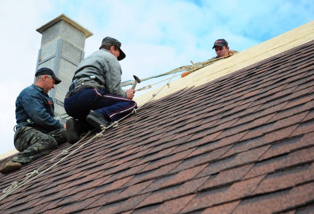 Best Emergency Roof Repair  in Trezevant, TN